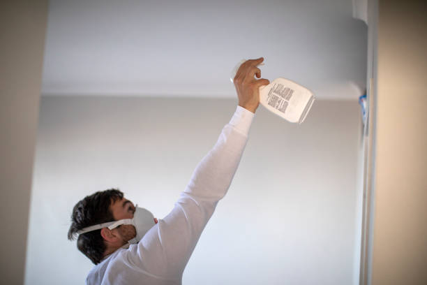  Lake Los Angeles, CA Mold Removal Pros