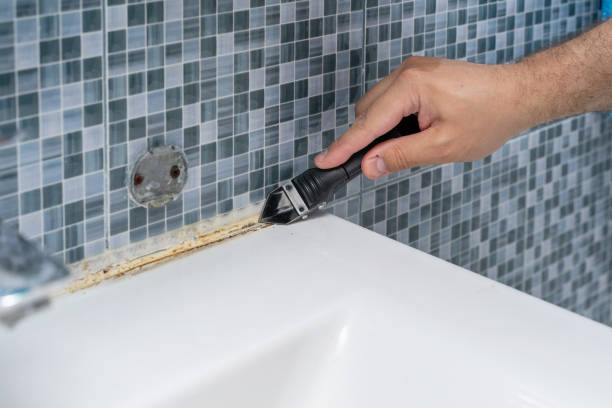 Home Mold Removal in Lake Los Angeles, CA